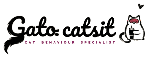 Gato Catsit